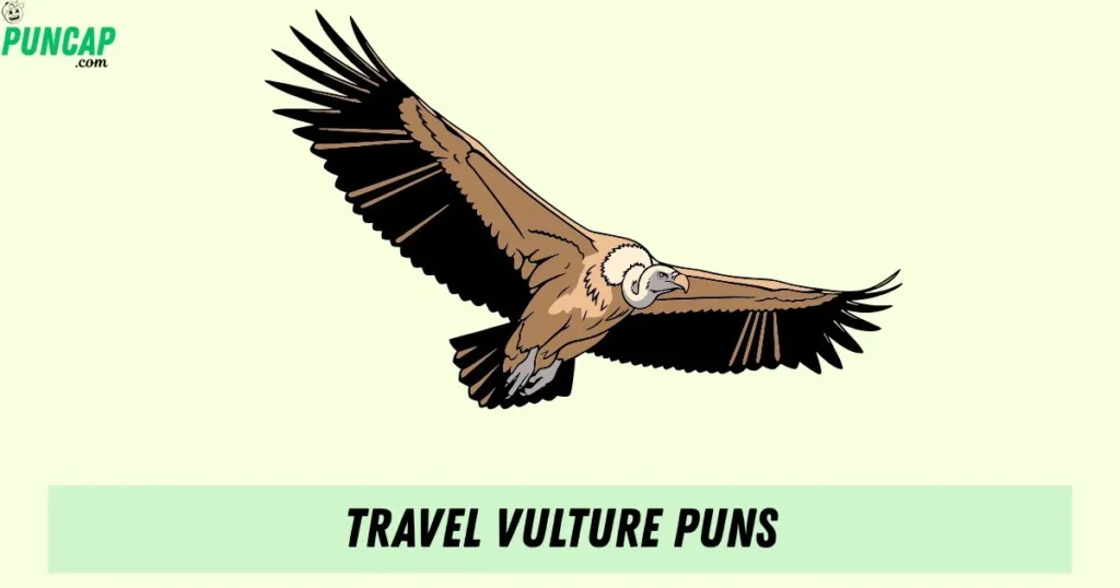 Travel Vulture Puns