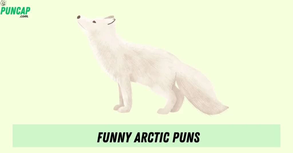 Funny Arctic Puns